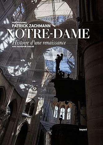 Notre-Dame : Histoire d'une renaissance - Click to enlarge picture.