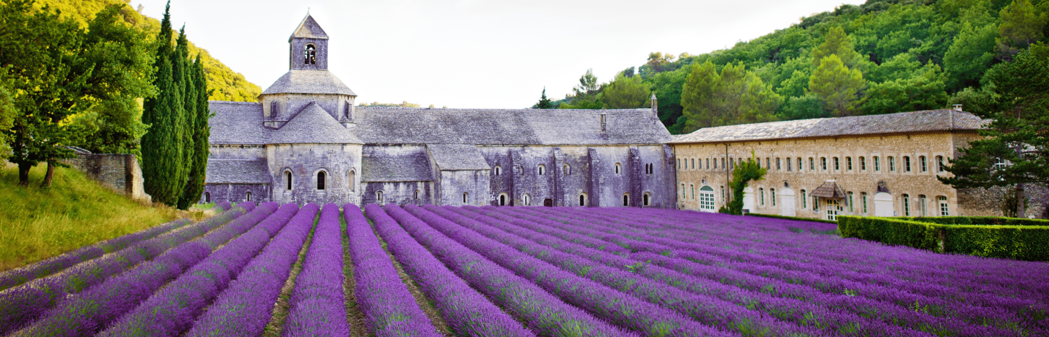 france tourism travelling silvacane provence lavender