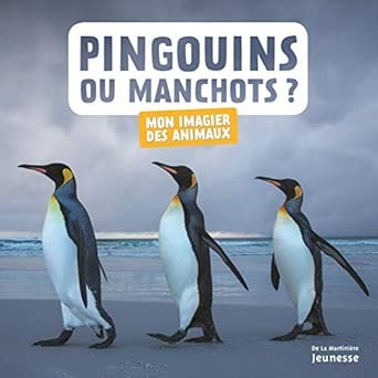 Pingouins ou manchots ? - Click to enlarge picture.