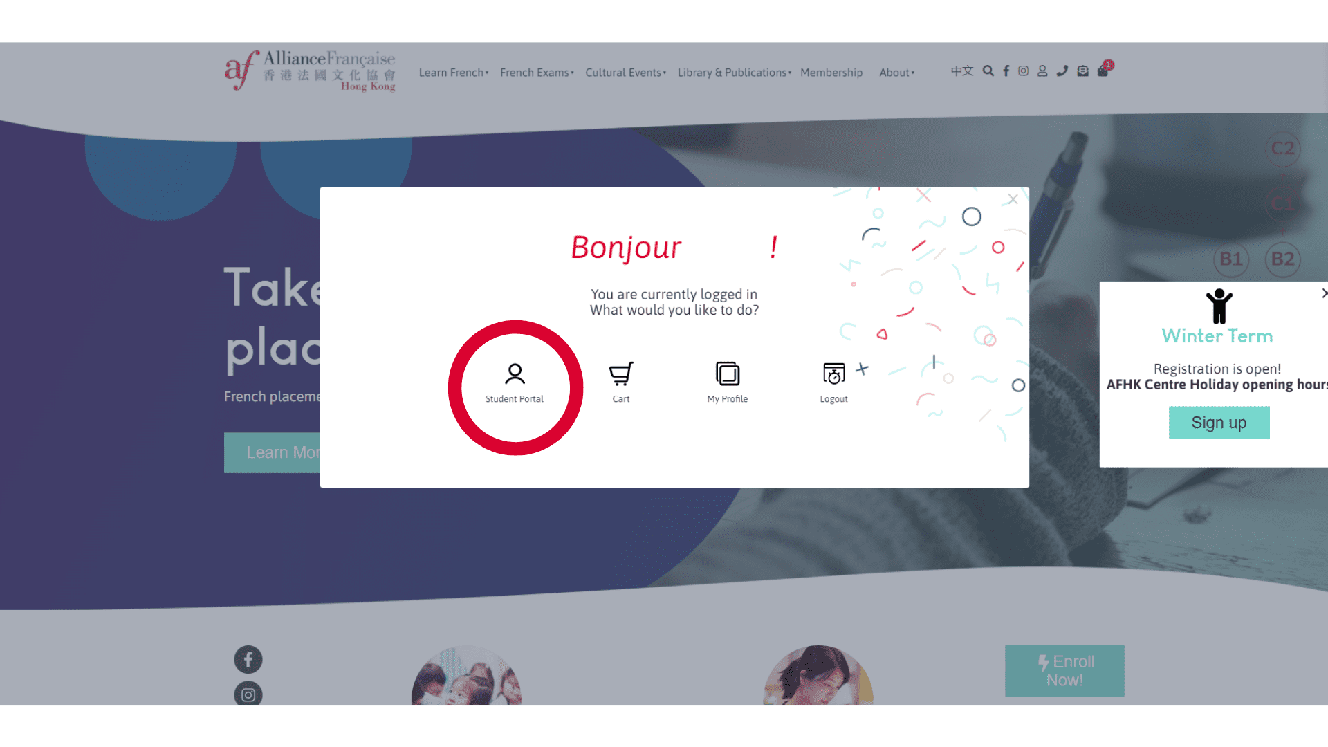 online 學法文, 法文網上課程